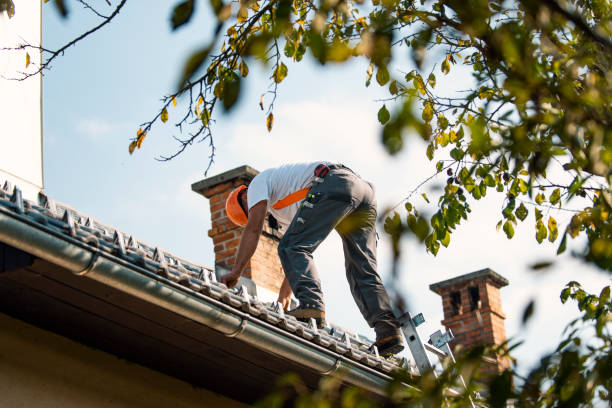 Roof Gutter Cleaning in Waxahachie, TX